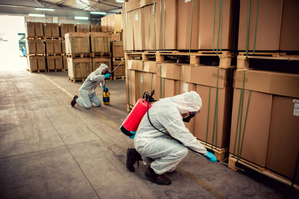 Best Pest Control Near Me in East Pittsburgh, PA