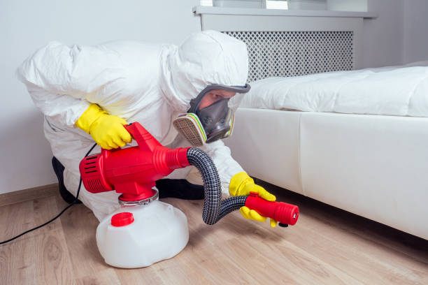 Reliable East Pittsburgh, PA Pest Control Solutions