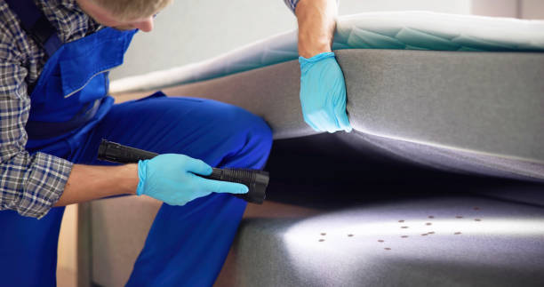 Best Pest Control Near Me  in East Pittsburgh, PA