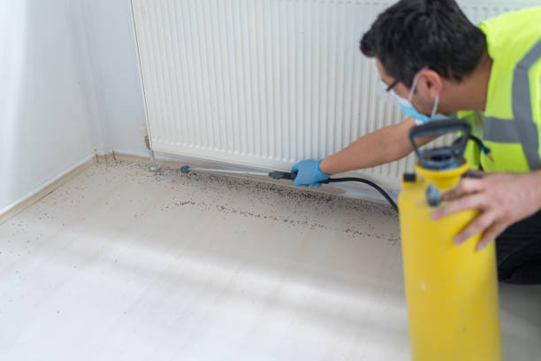 Best Residential Pest Control  in East Pittsburgh, PA